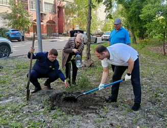 Дмитрий Кудинов принял участие в экологической акции «Посади дерево»
